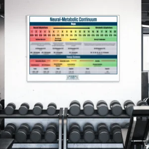 Gym wall chart above dumbbell rack.