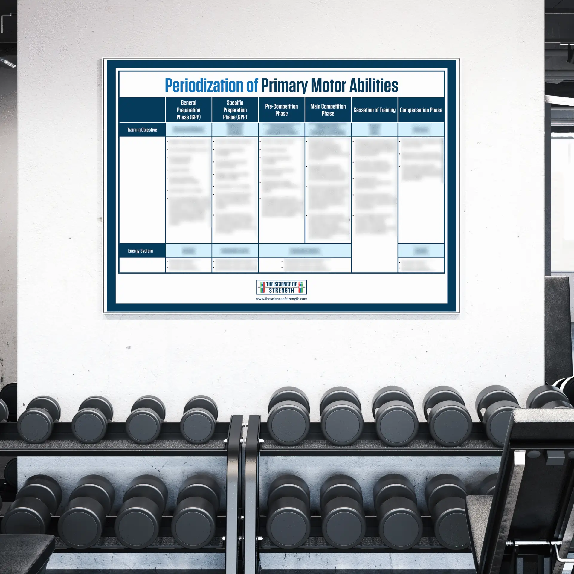 Gym with periodization chart and dumbbells.